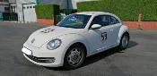 NEW BEETLE CHOUPETTE 53 STICKER AUTOCOLLANT - KIT HERBIE COCCINELLE DESTROY USED STICKERS