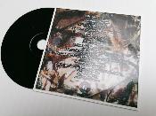 IMPRESSION SUR CD LOOK VINYLE RETRO VINYL + POCHETTE CARTON IMPRESSION R/V