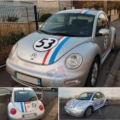 NEW BEETLE - HERBIE DECO COX - CHOUPETTE - STICKERS coccinelle CHOUPETTE